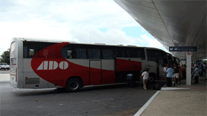 Bus cancun airport